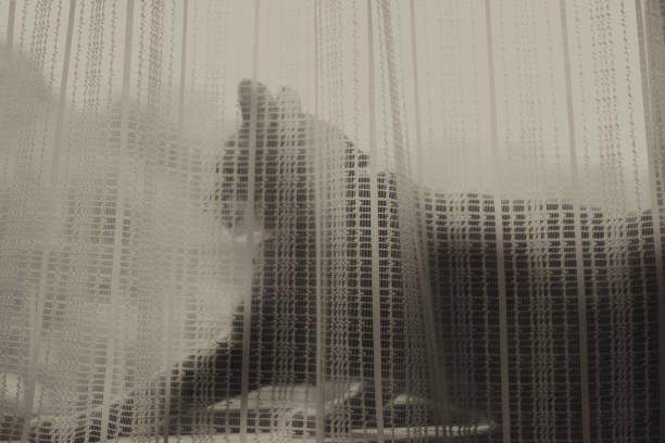 Image of a cat seen through lace curtains