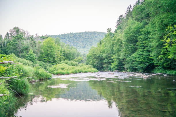 istock Camping Life in Beaverkill of New York 2161715005