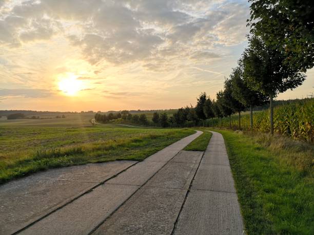 istock Sunset on a dirt road 2161715774