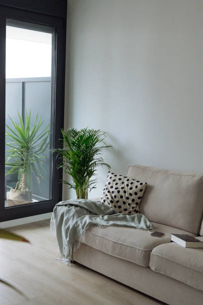 istock cozy living room with a beige sofa 2161718668