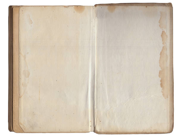 istock Vintage empty background of old book spread paper texture 2161720125