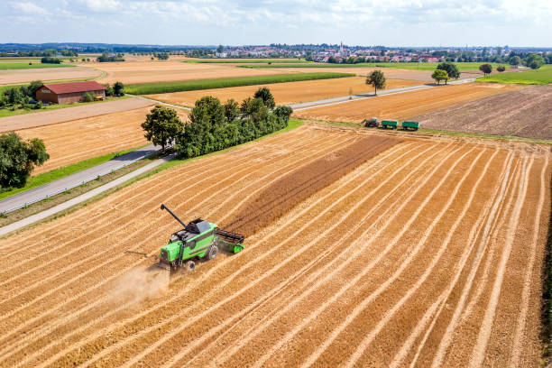 istock Combine harvesting grain field 2161720484