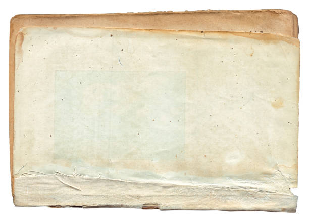 istock Vintage background of old ancient torn paper texture isolated 2161720770