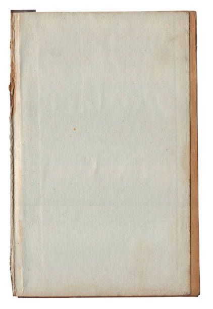 istock Vintage background of old ancient torn paper texture isolated 2161720778