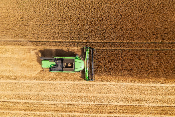 Combine harvester top down view stock photo