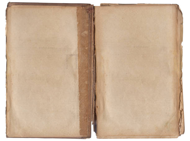 istock Vintage empty background of old book spread paper texture 2161721485