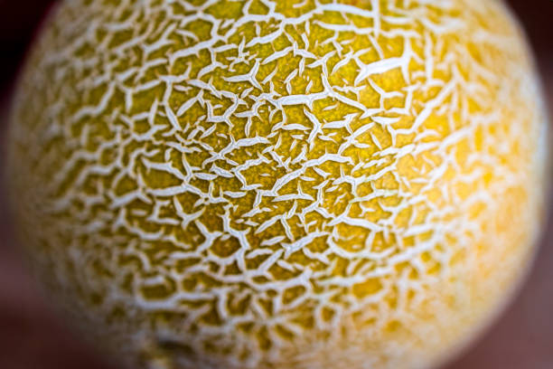 Meloen textuur achtergrond close-up macro