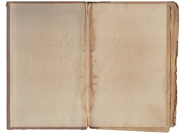 istock Vintage empty background of old book spread paper texture 2161722787