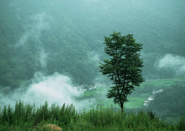 Morning in the mountain village. The clouds entwined on the mountainside are so ethereal that it feels like being in a fairyland.