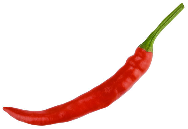 One ripe red hot chili pepper Thai, burning isolated on a white background.