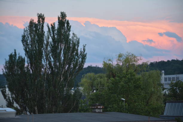 Pink and white clouds over the landscape