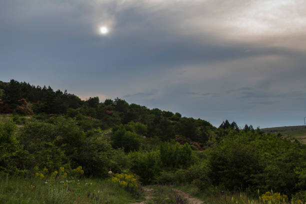 A wide view of a grassy meadow with trees in the foreground and the Stara Planina Mountains in the background. The sky is blue and there are white clouds.