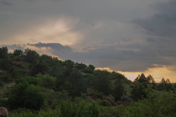 Landscapes -  Forest - Europe, Romania