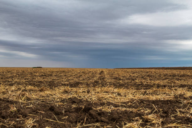 istock Landscapes - Forest - Europe, Romania 2161730919