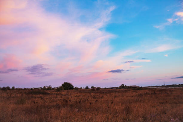 istock Landscapes - Forest - Europe, Romania 2161731224