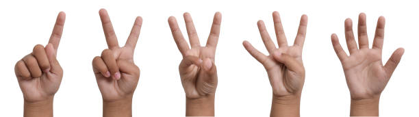 istock Child's hand gesturing one to five isolated on white background 2161734123