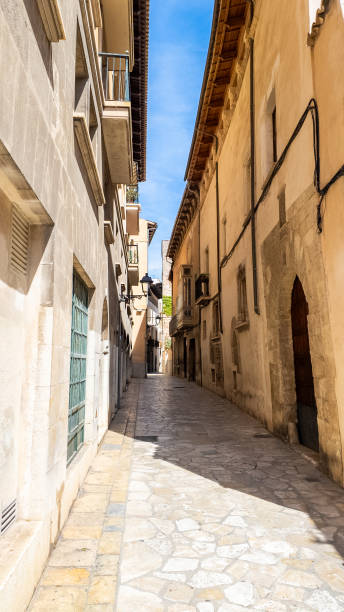 istock Sunlit Cobblestone Alleyway in Palma de Mallorca. 2161736280