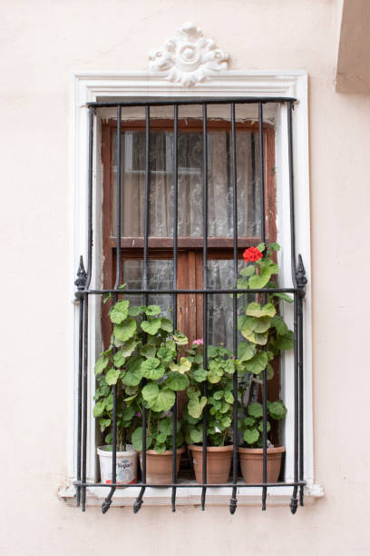 istock a wooden window with potted flowers with iron bars 2161738585