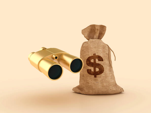 istock 3D Binoculars with Dollar Money Sack 2161743950