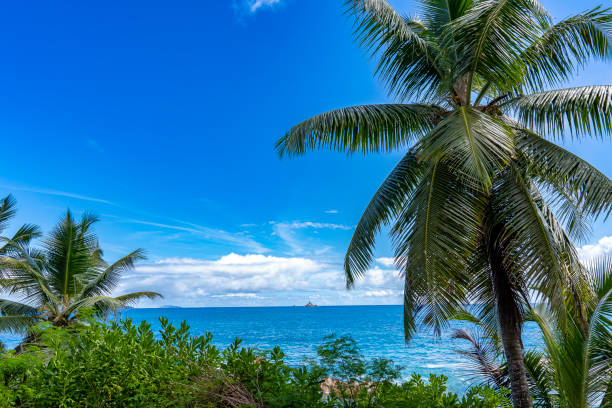 istock Plages paradisiaques des Seychelles avec une eau claire et transparente et ces rochers de granites 2161744432