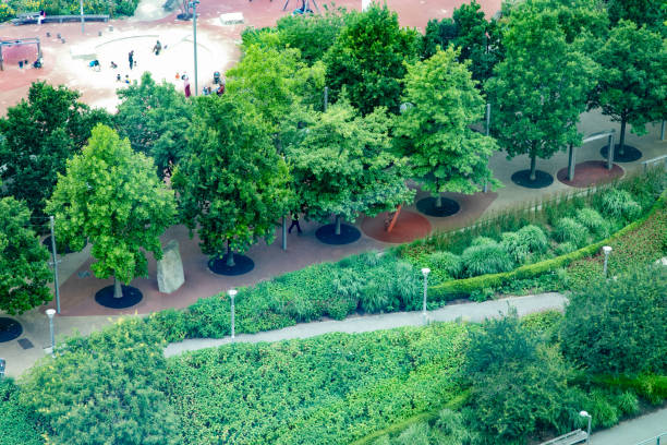 City regeneration in London includes trees and diverse planting to provide green space that boosts mental and physical health for people living in urban spaces
