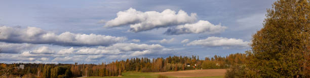 Autumn beautiful golden landscape.