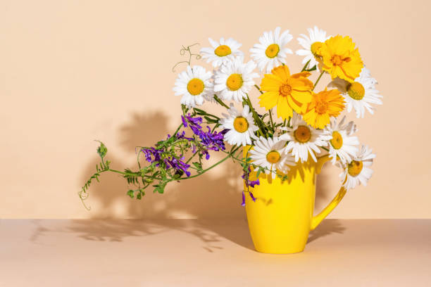 istock Fresh daisy flowers bouquet with copy space. On a beige background with a shadow 2161751360