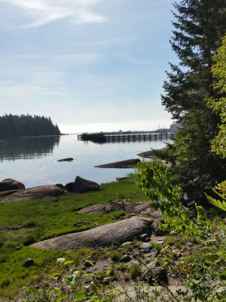 istock Lobster pound in cove in Maine 2161752003