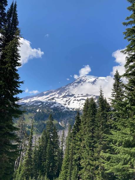 istock Snowy Mountain and green pines and paths 2161753072