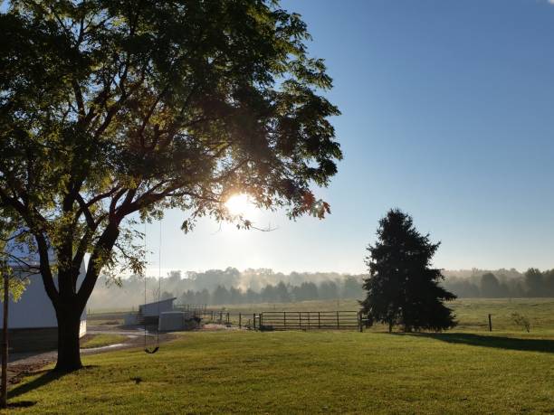 istock Beautiful day on the farm 2161753879
