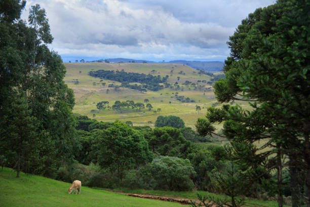 istock Natural farming landscape. 2161754529