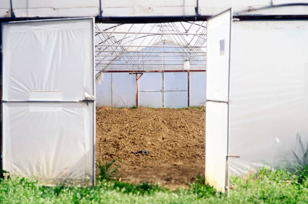 Greenhouse for planting vegetables and fruits. It is made of nylon and has fertile soil at the bottom.