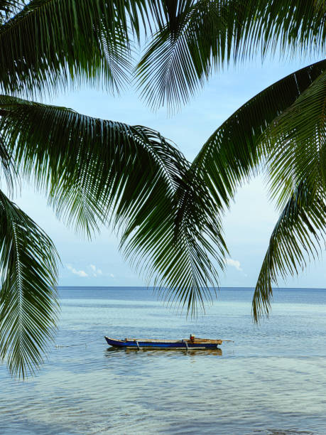 Close-up shot of palm trees leaf ,framing a scenic tranquil beach scene with a little traditional fishing boat in the middle of the ocean. Beautiful quiet beach in Siargao island. concept: \nScenic beach paradise,\nPalm leaves and ocean