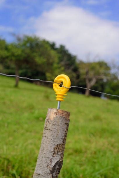 istock Yellow plastic piece on electric fence 2161759511