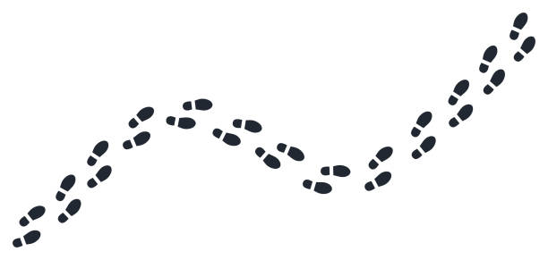 Footprint step path isolated on white background vector illustration Footprint step path isolated on white background vector illustration footprint stock illustrations