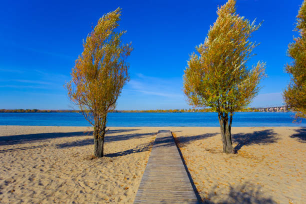 sandy beach with wooden road