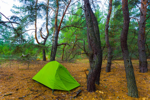 istock small green touristic tent stay on forest glade 2161765836