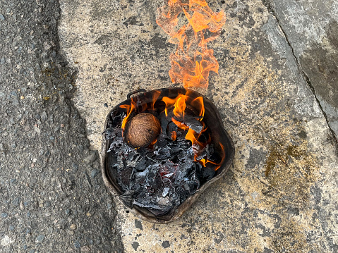 Burned Shell Coconut Shells Burned Stock Photo - Download Image Now - Animal Shell ...