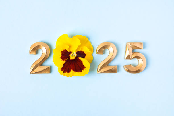 istock 2025 numbers and viola flowers 2161772398