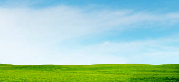 istock Meadow and sky on the horizon 2161773463
