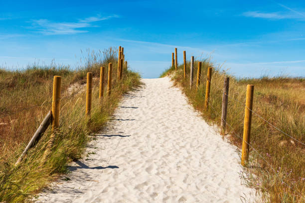 istock Fenced path on a fine sand dune that leads to Samil beach in Navia, Vigo, Galicia. 2161773881