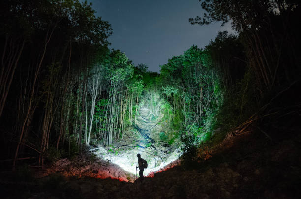 Nighttime jungle hiking lighting