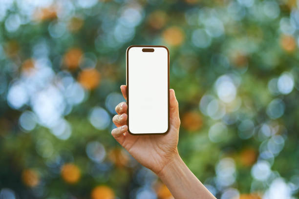 istock Young woman showing mobile phone blank white screen on Summer Background 2161774559