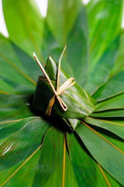 This is a studio-shot close-up photo of Zongzi, or Rice Dumpling,  on green leaves of bamboo or reed. Zongzi is a traditional Chinese rice dish made of glutinous rice stuffed with different fillings and wrapped in bamboo leaves, which are traditionally eaten during Dragon Boat Festival.