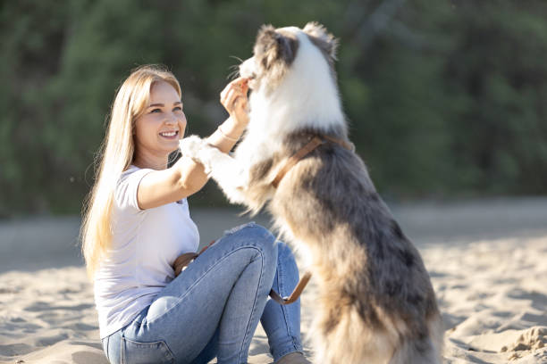 istock Young woman resting on sandy beach with her dog  during summer day 2161776270