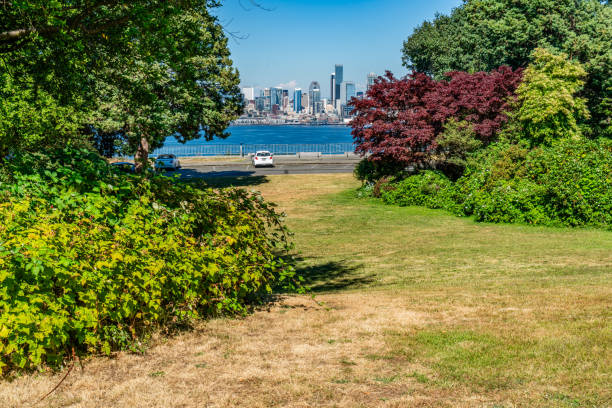 istock City Park Skyline View 2161777484