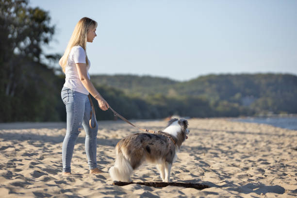 istock Young woman walking on sandy beach with her dog during summer day 2161777962