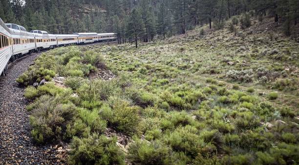 istock Grand Canyon Railway Train 2161778390