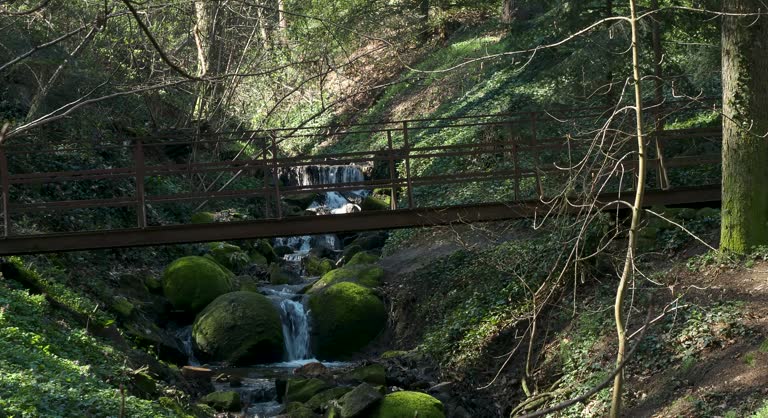 Small old iron bridge over a serene forest stream, surrounded by mossy rocks and lush trees