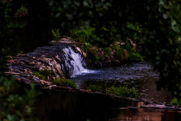 Traveler Woman standing in front of a waterfall